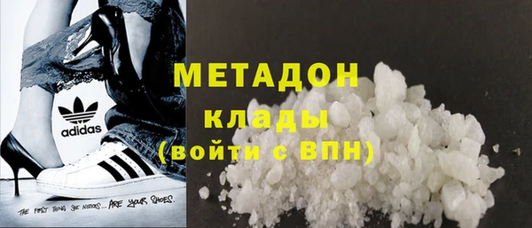 прущие грибы Карпинск