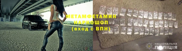 прущие грибы Карпинск