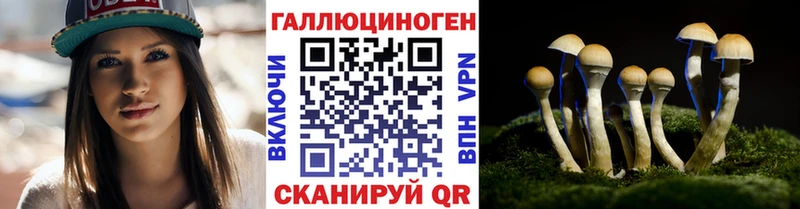Псилоцибиновые грибы GOLDEN TEACHER Родники