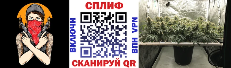 мориарти как зайти  наркотики  Родники  Бошки Шишки план 
